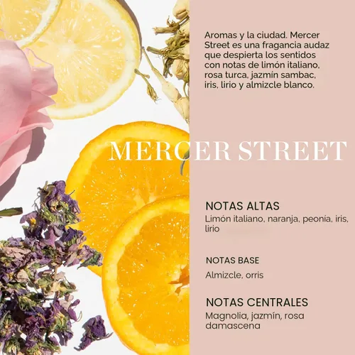Vista 4 de Ouai Fur Bébé Champú para mascotas, aroma Mercer Street - Champú para perros y lavado para el pelaje que hidrata, limpia y añade brillo - Artículos