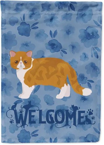 Vista 120 de Caroline's Treasures CK4813CHF - Bandera de bienvenida con gato abisinio azul, manga grande, para porche, para colgar en la pared, poliéster