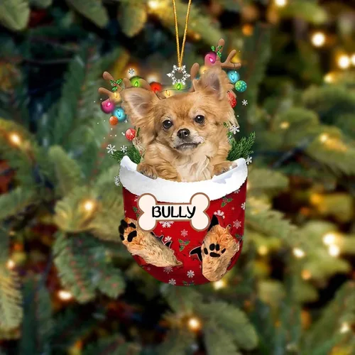 Vista 86 de IZI POD Affenpinscher Adorno de Navidad personalizado para perro, adorno de bolsillo de nieve para perro para árbol de Navidad, adorno acrílico