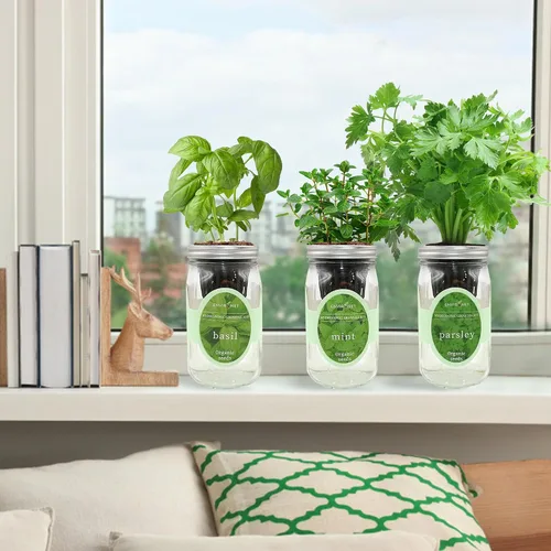 Vista 5 de Kit de cultivo de hierbas hidropónicas, kit de inicio de jardín de hierbas con riego automático en tarro de masón para interiores, jardín de hierbas