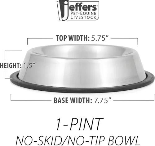 Vista 3 de QT Dog Cuenco de acero inoxidable antideslizante sin punta, 1 pinta