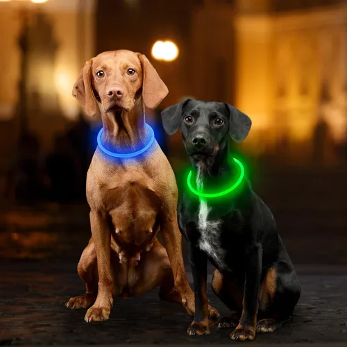 Vista 6 de Collar de perro iluminado, recargable por USB, LED, verde