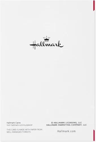 Vista 5 de Hallmark - Paquete de tarjetas para el día de San Valentín, diseño de corazón