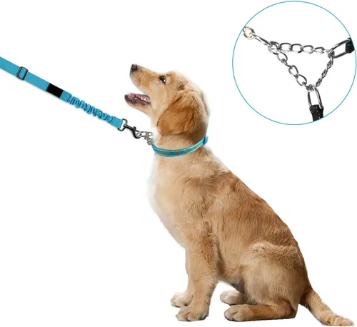Vista 7 de Collar de Martingala personalizado para perro, collares de Martingala reflectantes con hebilla, collares de perro Martingala de entrenamiento