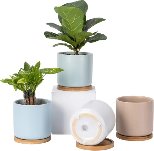 Vista 6 de Maceta de cerámica de 4 pulgadas con platillo, macetas plantadoras negras con orificio de drenaje y almohadillas de malla para suculentas, plantas
