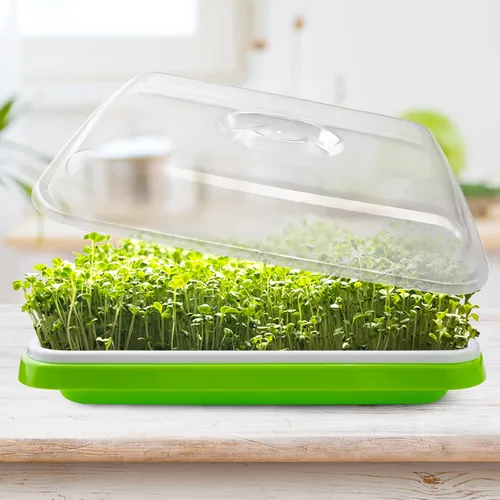 Vista 6 de Bandeja de germinación de semillas con orificios de drenaje, bandeja de germinación de semillas sin BPA, bandeja de vivero, gran capacidad sin