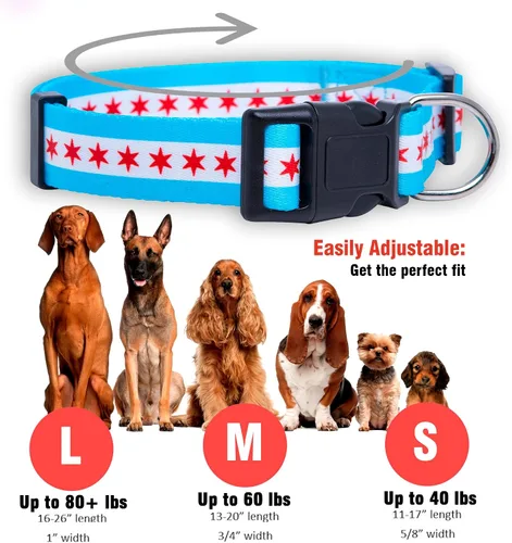 Vista 3 de Native Pup Collar de perro con bandera de Chicago (Chicago, S)