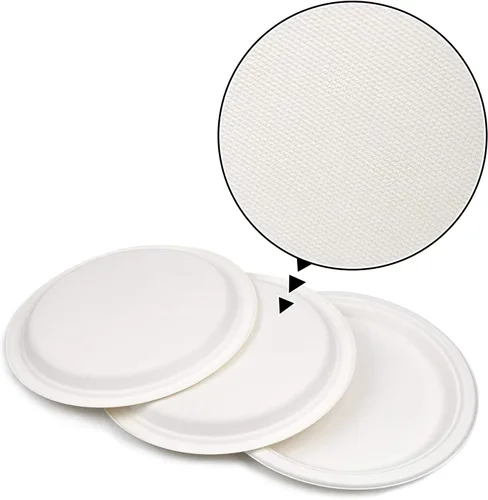 Vista 3 de Green Earth - Plato de papel de 9.0 in sin bagazo natural (fibra de caña de azúcar), biodegradable, compostable (50 platos desechables)