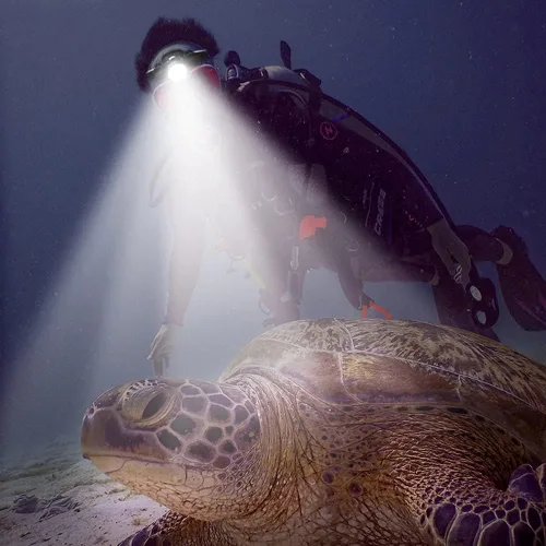 Vista 6 de Linterna frontal de buceo recargable de alto lúmenes para buceo, súper brillante, IPX8, impermeable, buceo, natación, submarinos, 3 modos, luz
