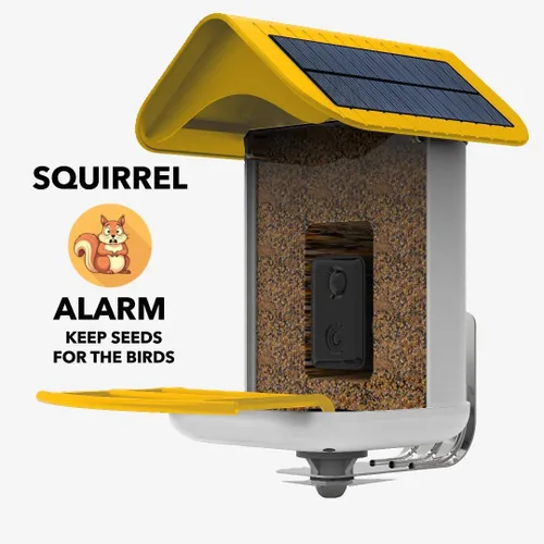 Vista 3 de Fácil configuración rápida, comedero inteligente para pájaros con cámara - Paneles solares duales, video inalámbrico al aire libre de alta