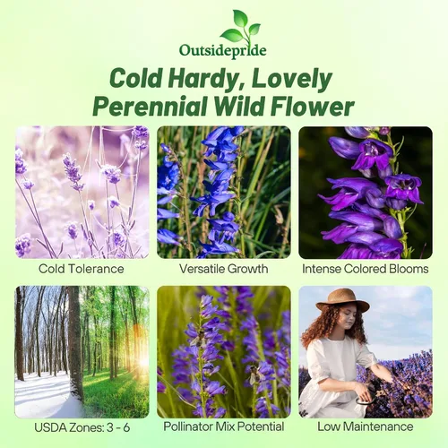 Vista 3 de Outsidepride Semillas perennes de flores silvestres Penstemon Rocky Mountain de 1/4 lb para plantar