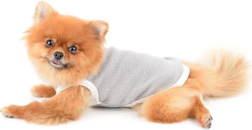 Vista 4 de SMALLLEE_LUCKY_STORE Linda camiseta de punto gofre con oso para cachorros, para perros pequeños, medianos, gatos, niños y niñas, camiseta elástica
