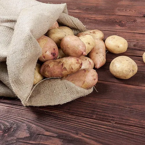 Vista 5 de Bekith Sacos de arpillera para patatas de alta resistencia de 24 x 39 pulgadas, juego de 6