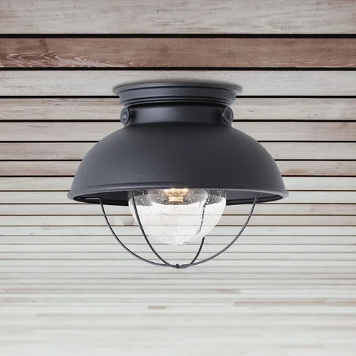 Vista 2 de Generation Lighting 8869-12 Sebring Transitional One - Lámpara de montaje empotrado para techo al aire libre, acabado negro, 1 luz, listado cETL