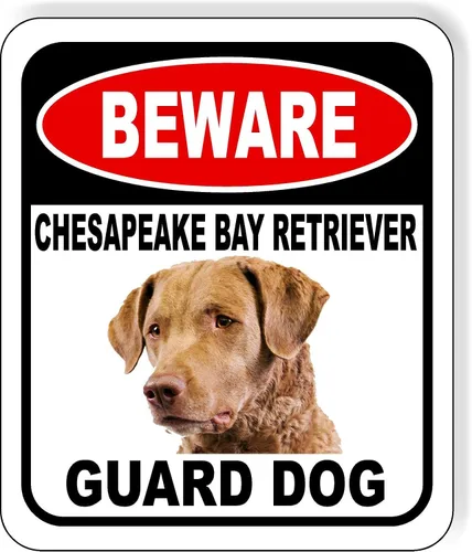 Vista 151 de BEWARE BASSETT HOUND GUARD DOG - Letrero compuesto de aluminio para exteriores, 8.5 x 10 pulgadas CUIDADO BASSETT HOUND GUARD PERRO