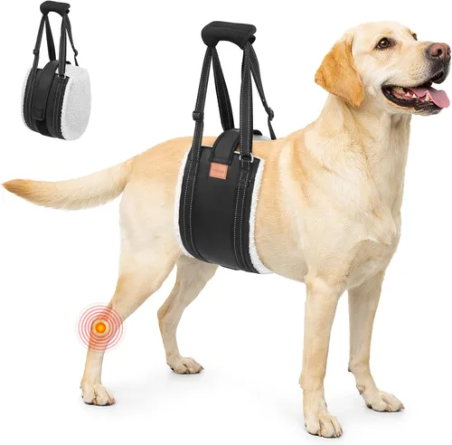 Vista 10 de LOOBANI Arnés de elevación para perros para patas traseras, arnés portátil para perros grandes, soporte para patas traseras, cómodo soporte