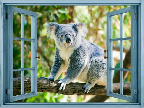 Vista 2 de wall26 Adhesivo de pared removible/mural de pared, vista de ventana, koala gris australiano en bosque, árboles, animales, naturaleza, fotografía