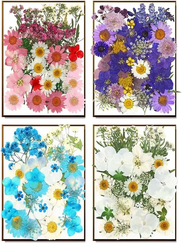 Vista 7 de Más de 170 pétalos de hojas de flores secas prensadas para manualidades, hermosas flores prensadas margaritas para joyas de resina, flores