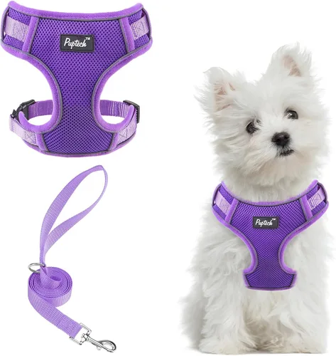 Vista 58 de PUPTECK Juego de arnés y correa para perro pequeño, arnés ajustable sin tirones para cachorro, chaleco de malla suave reflectante para mascotas