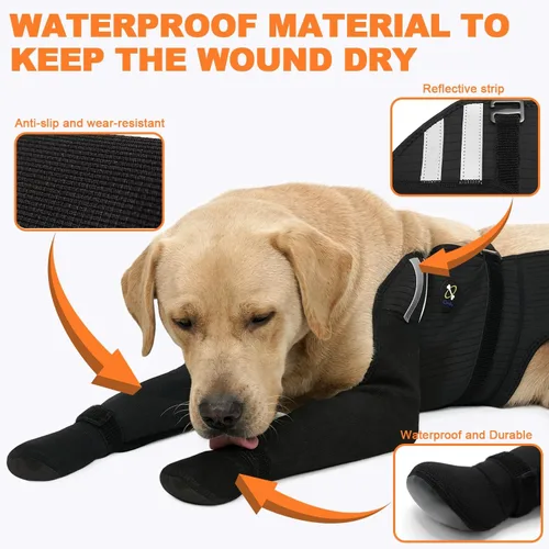 Vista 3 de COODEO Calcetines para perros para las 4 patas, impermeables, antideslizantes, fáciles de usar, protección de patas, duraderos y cálidos