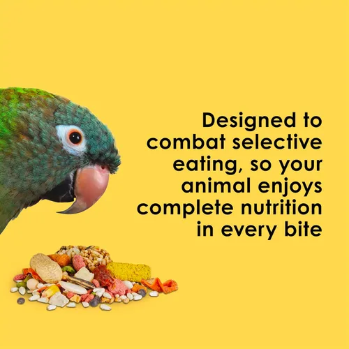 Vista 6 de Kaytee Fiesta Big Bites Small Parrot & Conure - Alimento nutritivo y divertido, apoya la piel, las plumas, la digestión, la salud del cerebro