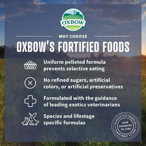 Vista 4 de Oxbow Garden Select - Alimento para conejillo de indias adulto, Heno Timothy, pellets de conejillo de indias, alta fibra para la salud digestiva