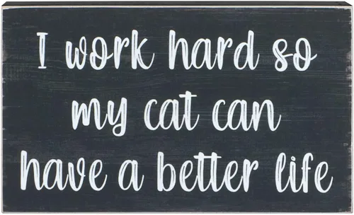 Vista 2 de Esur Bonita decoración de escritorio de oficina en casa para mujeres y hombres, regalos para amantes de los gatos, divertido letrero inspirador