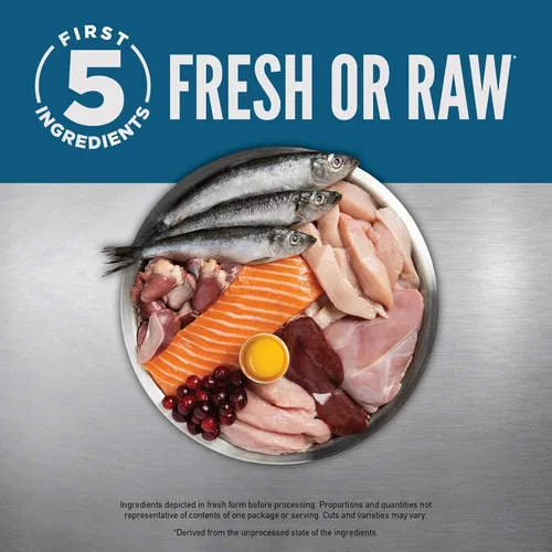 Vista 4 de ORIJEN Guardian - Comida seca premium sin granos con alto contenido de proteínas para gatos, 4 libras 90% Animal Ingredients, Freeze Dried, Fresh