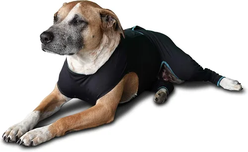 Vista 4 de BENEFAB Traje terapéutico cómodo para perros — Chaqueta ligera de infrarrojo lejano para caninos de todas las edades — Traje de compresión relajante