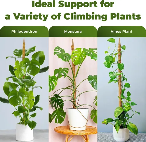 Vista 3 de Paquete de 2 postes de musgo flexibles de 28 pulgadas para soporte de plantas Monstera para plantas de interior - Bastón de musgo alto tipo enrejado