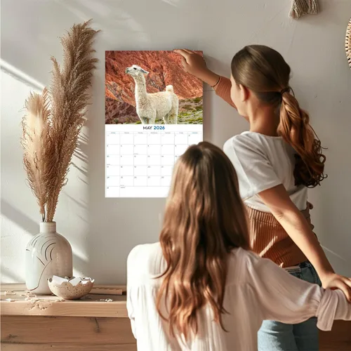 Vista 512 de Calendario de grises africanos 2025 2026 – Planificador mensual de pared de aves africanas – 12 x 18 pulgadas (abierto), calendario de pared