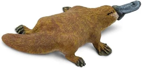 Vista 5 de Safari Ltd. Figura de ornitorrinco – Figura detallada de plástico de 4.75 pulgadas – Divertido juguete educativo para niños, niñas y niños a partir