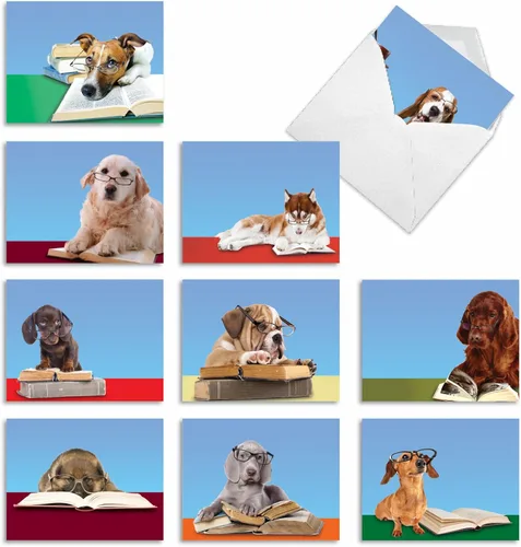 Vista 4 de The Best Card Company - 10 tarjetas divertidas de agradecimiento para perros (4 x 5.12 pulgadas) - Papelería de gratitud en caja para todas