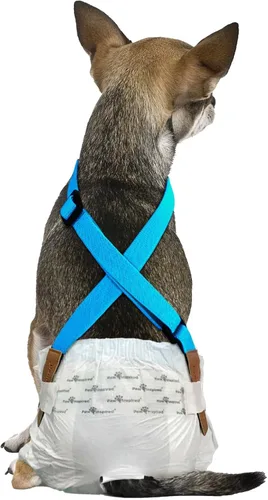 Vista 12 de Paw Inspired Tirantes de pañales para perros con cierres de velcro Tirantes elásticos ajustables para pañales desechables y lavables para mujeres