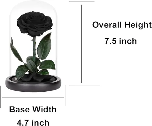Vista 2 de Rosas preservadas, rosas negras en cúpula de cristal, medianas, flores preservadas para el día de la madre, regalos para mujeres Negro