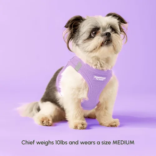 Vista 181 de Downtown Pet Supply Arnés para perro Step-in – Sin tirones, malla acolchada ajustable con ribete reflectante, correa de hebilla segura – Arnés