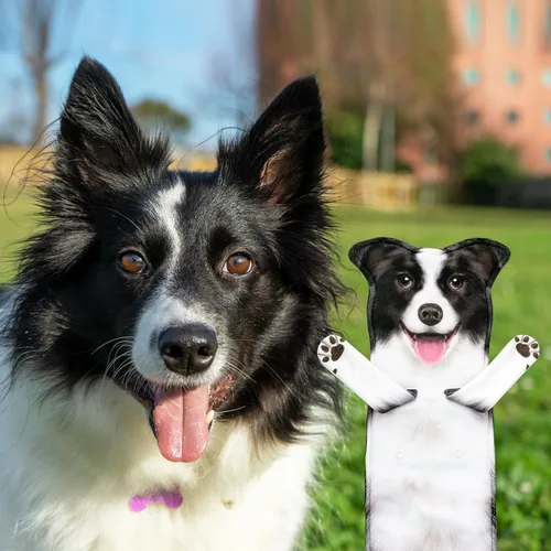 Vista 3 de AGRIMONY Border Collie - Divertidas toallas de mano para cocina, baño, perro, mamá, papá, regalos para mujeres, hombres, adolescentes, niños