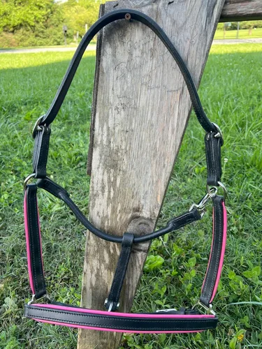 Vista 7 de Leaders - Cabestro de cuero de 3/4 pulgadas para caballos con placa de identificación grabada personalizada, halter de cuero con placa de nombre