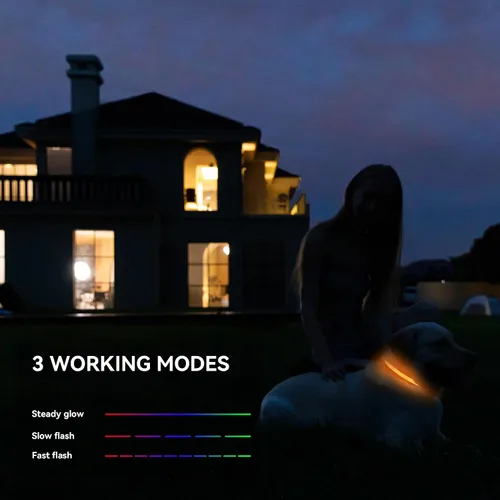 Vista 6 de Collar de perro recargable con luces LED para la noche, collar de perro que brilla en la oscuridad, impermeable, collar ajustable con luz