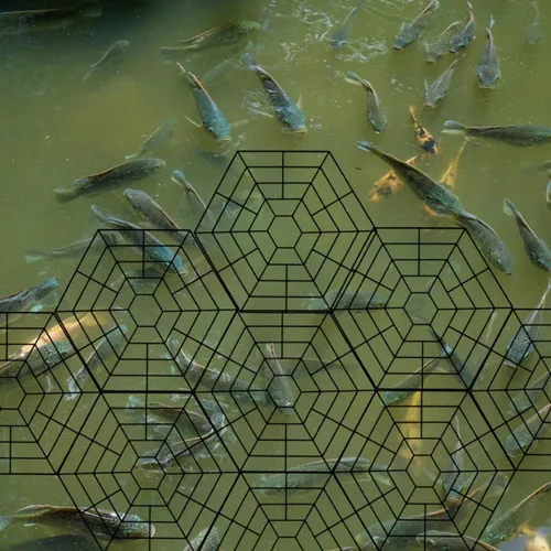 Vista 5 de Protector flotante de red de estanque, protección flotante de plástico para peces koi, resistente a garzas, gatos, cuervos, aves marinas, 10