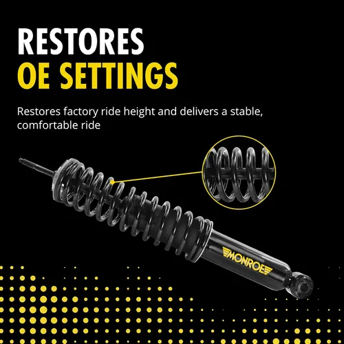 Vista 3 de Monroe 90023C2 Kit de conversión de resorte de aire con resorte helicoidal para Ford Expedition