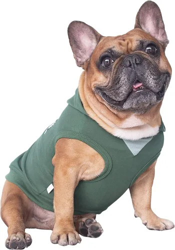 Vista 9 de iChoue - Disfraces para perros, I am a French Bulldog, suéteres divertidos, abrigos de invierno, sudaderas con capucha, Frenchie Pitbull Corgi, Pug