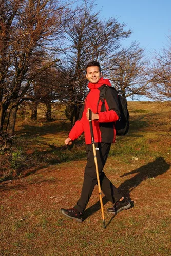 Vista 5 de FOREST PILOT Bastón de trekking – 1 unidad de madera de sasafrán ajustable y desmontable para senderismo o bastón