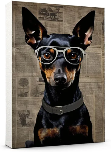 Vista 165 de Thuan Affenpinscher - Póster de lienzo con tus fotos, arte de pared para decoración del hogar, regalo conmemorativo para amantes de las mascotas