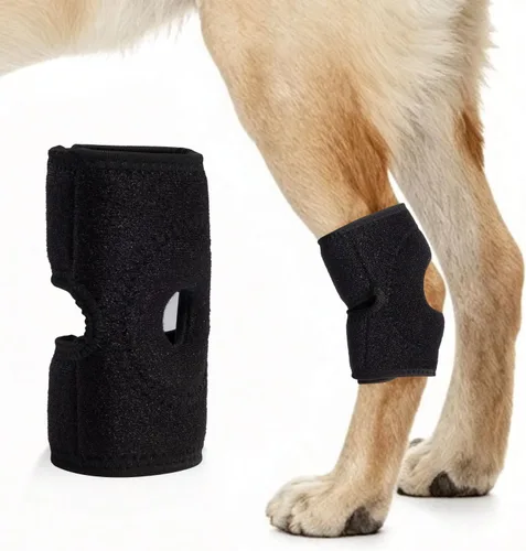 Vista 9 de Soporte de pierna de perro para articulación de corvejón, envoltura de soporte de compresión (XL)