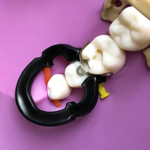 Vista 7 de Anillo de sujeción de resina dental, matrices seccionales dentales, bandas de matriz metálica con salientes de orificio para dentales (F3 negro)