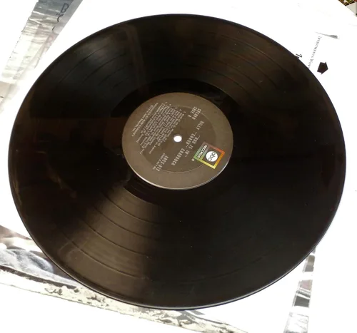 Vista 4 de Rub It In Vinyl LP