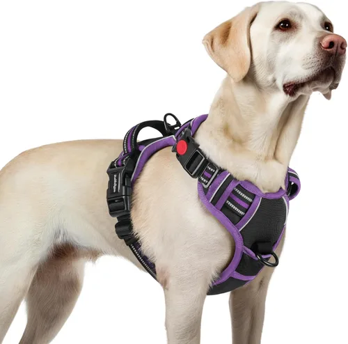 Vista 79 de Rabbitgoo - Arnés para perro de tamaño pequeño, arnés para mascotas sin tirones con 3 hebillas, chaleco acolchado suave ajustable con mango