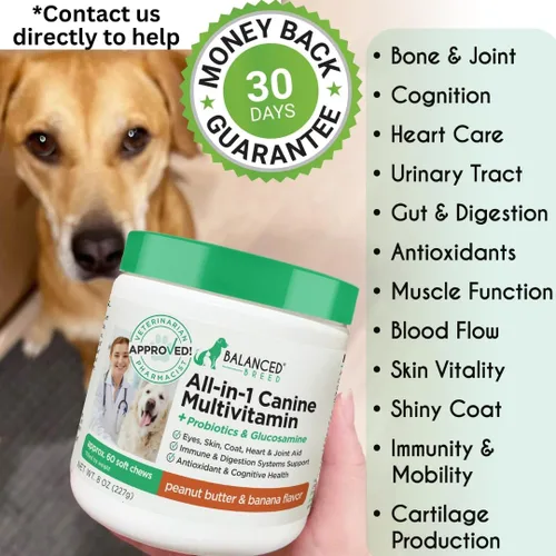 Vista 8 de Balanced Breed Suplementos de vitaminas para perros todo en 1 fabricados en Estados Unidos aprobados por veterinarios y farmacéuticos, probióticos