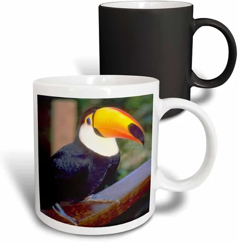 Vista 13 de 3dRose Florene Birds - Tucán - Tazas (mug_17933_9)